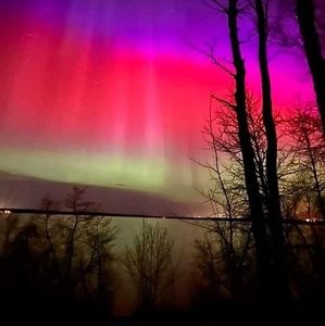 Meet your Posher, Caroldixon